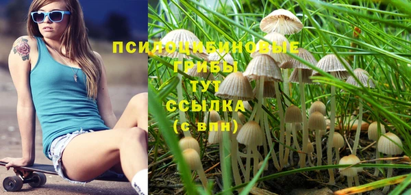 спайс Покачи