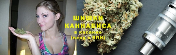 спайс Покачи