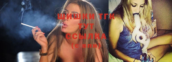 спайс Покачи