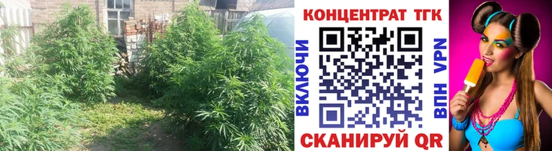 KRAKEN ONION  Суоярви  Дистиллят ТГК THC oil 