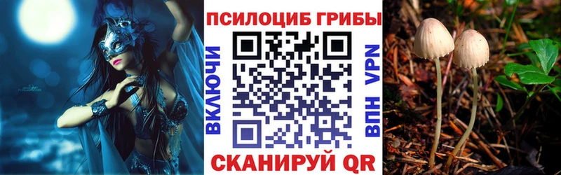 Псилоцибиновые грибы прущие грибы  купить  цена  Суоярви 